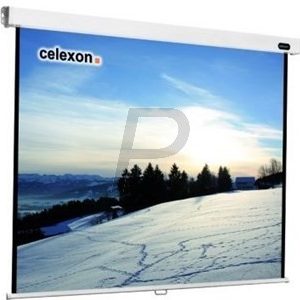 C20X53 - CELEXON écran projection 4:3 manuel Professional 240x180cm