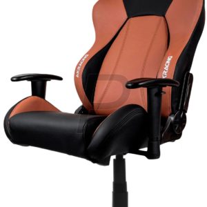 G17L13 - AKRACING Premium V2 Gaming Chair Noir/brun [AK-7001-BB]