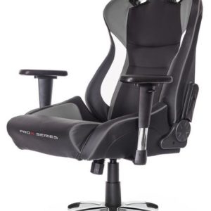 H23L11 - AKRACING ProX Gaming Chair - gris [AK-PROX-GY]